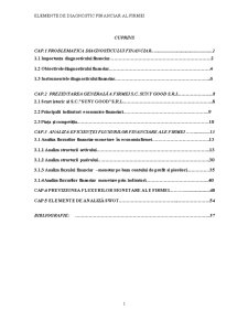 Elemente de Diagnostic Financiar al Firmei SC Suny Good SRL - Pagina 1