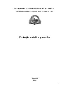 Protecția Socială a Șomerilor - Pagina 1