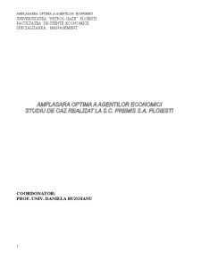 Amplasarea optimă a agenților economici - Pagina 1