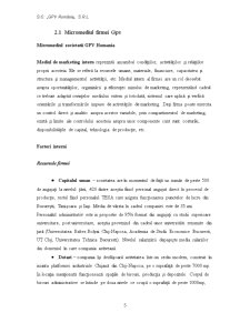Cercetare de Marketing GPV - Pagina 5