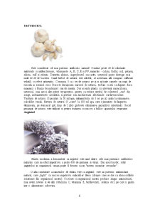 Antibiotice Naturale - Pagina 5