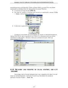 Utilizarea Calculatoarelor - Pagina 95