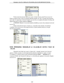 Utilizarea Calculatoarelor - Pagina 107