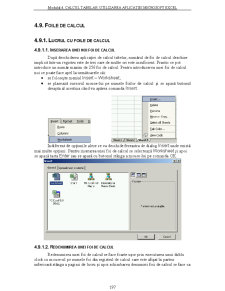 Utilizarea Calculatoarelor - Pagina 117