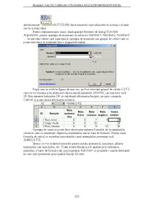 Utilizarea Calculatoarelor - Pagina 126