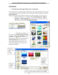 Utilizarea Calculatoarelor - Pagina 238
