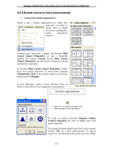 Utilizarea Calculatoarelor - Pagina 245