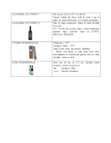Fundamentarea și elaborarea stragiei de preț ai produsului vin Murfatlari - Pagina 5