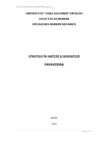 Retrosinteza Papaverinei - Pagina 1