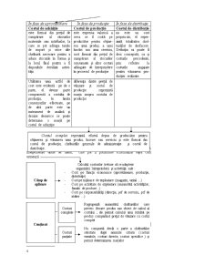 Elemente Fundamentale ale Contabilității de Gestiune - Pagina 4