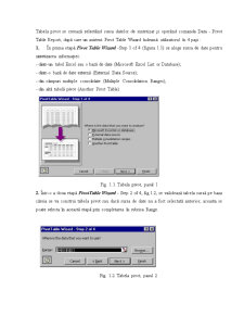 Instrumente pentru Asistarea Deciziei în Microsoft Excel - Pagina 3