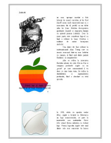 Analiza politicii de produs pe piața internațională din perspectiva Apple iPod Nano - Pagina 5