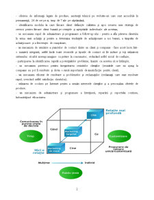 Perfecționarea managementului relațiilor cu clienții la compania SC Cirex SRL - Pagina 2