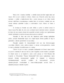 Principiile Dreptului Muncii - Pagina 2