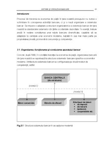 Sisteme și operațiuni bancare - capitolul 3 - Pagina 2