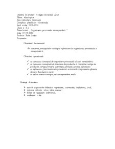 Proiect didactic - economia întreprinderii - organizarea procesuală a întreprinderii - Pagina 2