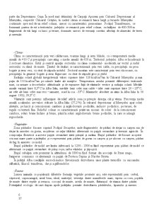 Strategii de dezvoltare Alba Iulia - Pagina 4