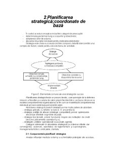 Strategii Adoptate de BCR - Pagina 4