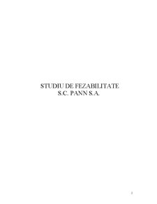 Studiu de Fezabilitate - SC Pann SA - Pagina 2