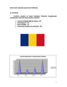Diagnostic Intercultural România - Cehia - Pagina 2