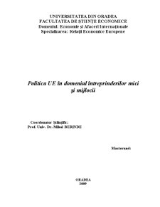 Politica UE în Domeniul Întreprinderilor Mici și Mijlocii - Pagina 1