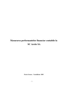 Măsurarea performanțelor financiar-contabile la SC Arctic SA - Pagina 1