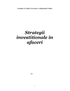 Strategii investiționale în afaceri - SC Lary Trans SRL - Pagina 1