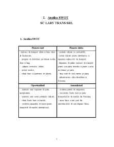 Strategii investiționale în afaceri - SC Lary Trans SRL - Pagina 5