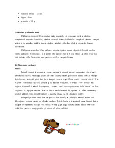 Plan de Marketing pentru Pasta de Dinți pentru Animale de Companie Pet-A-Den - Pagina 3