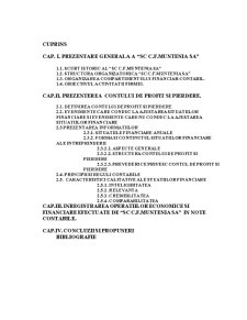 Bilanțul contabil și contul de profit și pierdere la SC CF Muntenia SA - Pagina 1