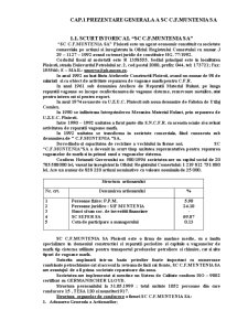 Bilanțul contabil și contul de profit și pierdere la SC CF Muntenia SA - Pagina 2