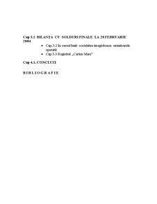 Contabilitatea Valorilor de Trezorerie - SC Condor SRL - Pagina 3