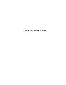 Județul Hunedoara - Pagina 1