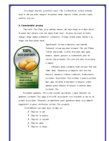 Comportamentul consumatorului - Chio Chips - Pagina 4