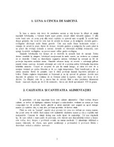 Regimul Alimentar al unei Femei Însărcinate în Luna a Cincea - Pagina 3
