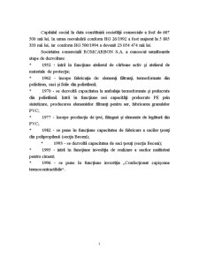 Analiza SC Romcarbon SA - Pagina 3