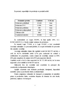 Analiza SC Romcarbon SA - Pagina 4