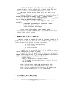 Plan de Afaceri - SC Mobistil SRL - Pagina 2