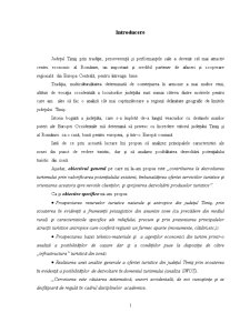 Prospectarea ofertei turistice a Județului Timiș - Pagina 1
