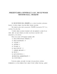 Evaluarea riscurilor pentru securitatea și sănătatea lucrătorilor din cadrul SC Ro Xi Wood Sistems SRL Orăștie - Pagina 5