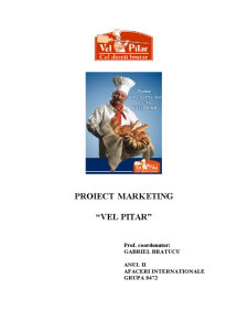 Proiect Marketing - Vel Pitar - Pagina 1