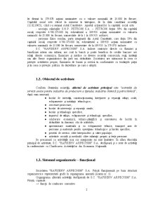 Fundamentarea planului de cumpărări la SC Rafiserv Arpechim SA Pitești - Pagina 5