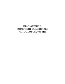 Diagnosticul societății comerciale Autoglobus 2000 SRL - Pagina 1