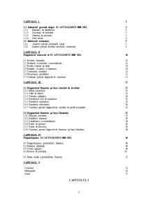 Diagnosticul societății comerciale Autoglobus 2000 SRL - Pagina 2