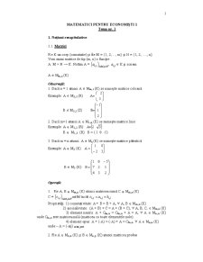 Matematici pentru Economiști 1 - Pagina 1