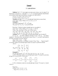 Matematici pentru economiști 3 - Pagina 1