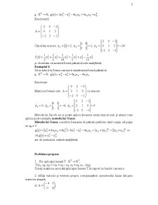 Matematici pentru economiști 3 - Pagina 5