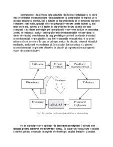 Sisteme Informatice pentru Asistarea Deciziilor Business Intelligence - Pagina 4