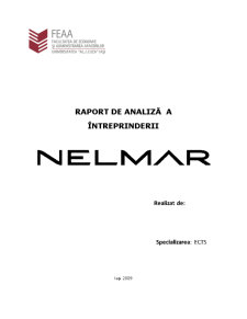 Raport de analiză a întreprinderii - Nelmar - Pagina 1