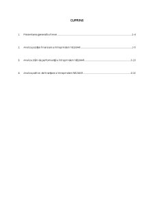 Raport de analiză a întreprinderii - Nelmar - Pagina 2